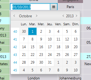 Screenshot of SpreadsheetCellEditor.DateEditor